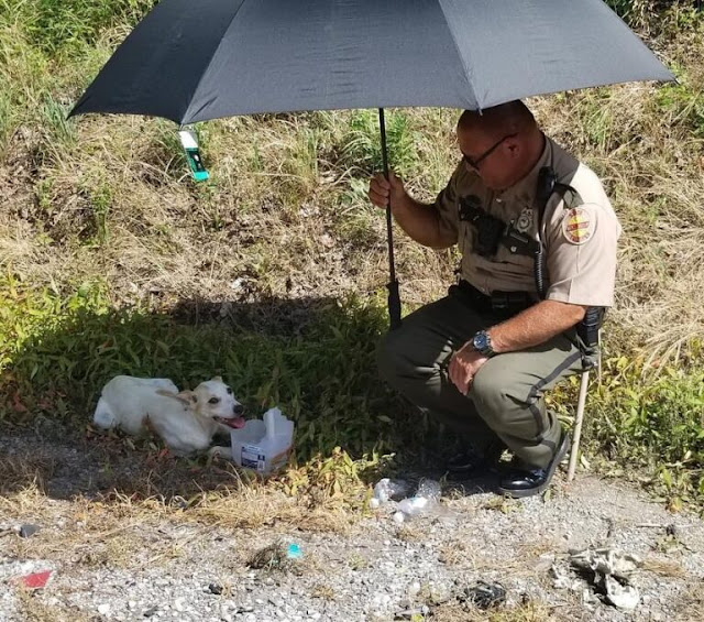 A Heartwarming Act of Kindness: Compassionate Officer Provides Water and Food to an Abandoned Dog, Touching Onlookers
