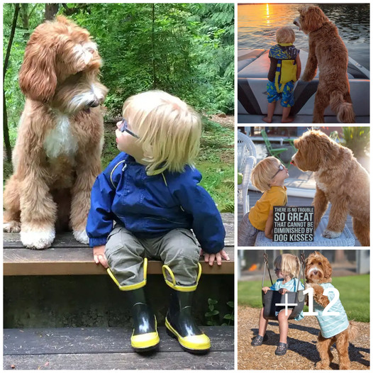 Strong Bond: A 5-Year-Old Boy and his Loyal Dog Share Heartwarming Everyday Moments!