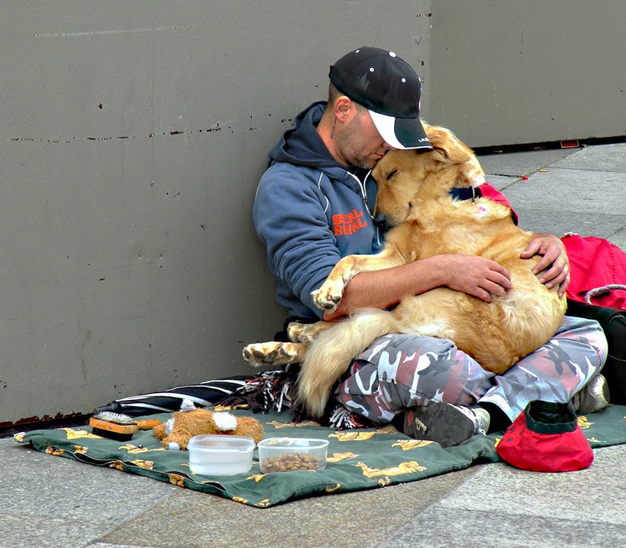 The Loyal and Devoted Dog Stands by Homeless Owner, Creating A Touching Moment To Millions Around The World