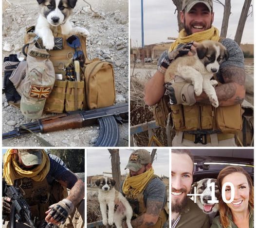A British soldier finds a puppy in a war zone and chooses to bring her into his life as a beloved companion.