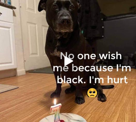 Today is my birthday, but nobody wishes me because I’m black. This hurts me.
