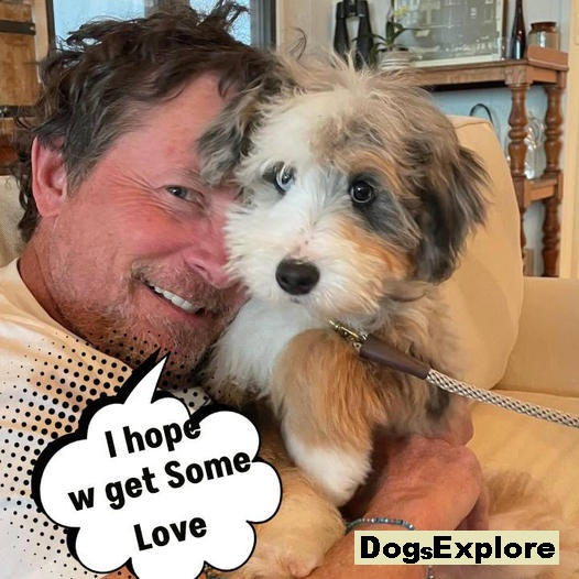 Michael J. Fox Welcomes His Beautiful New Dog, Blue: ‘Welcome to Your Forever Home!