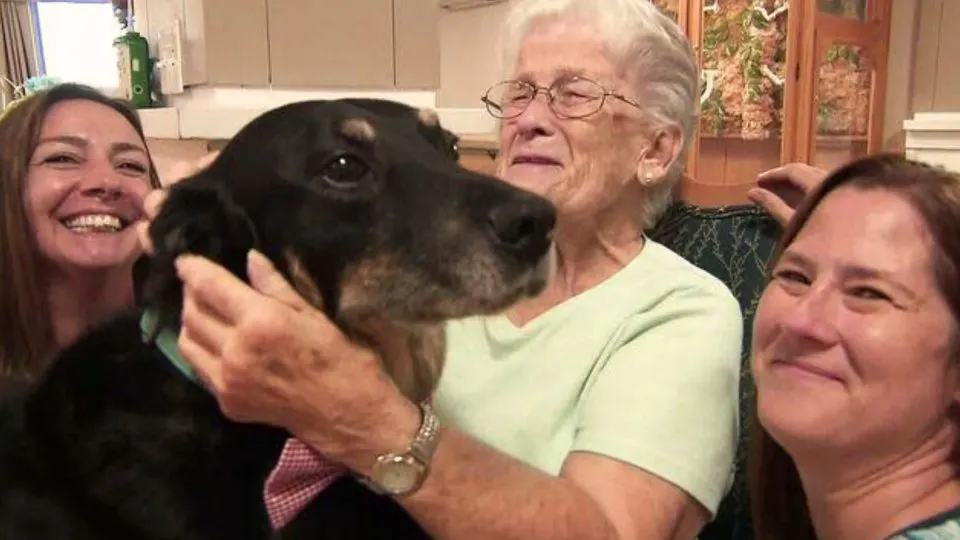 A dog repeatedly broke out of the shelter and ran to a nursing home to spend time with its residents.