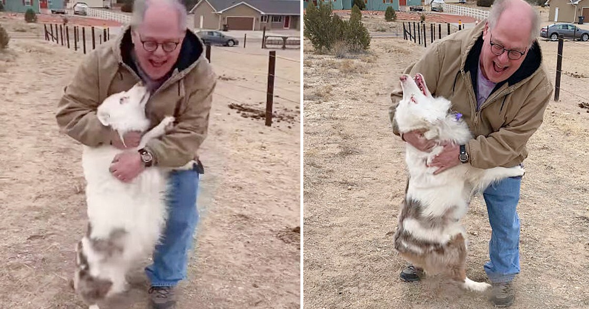 The touching account of a sweet deaf and blind dog who instantly recognizes her grandfather after a year apart warms hearts with its heartening reunion narrative