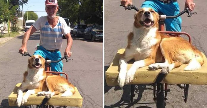 84-Year-Old Man and Shelter Dog Spread Joy on Vintage Bicycle Rides