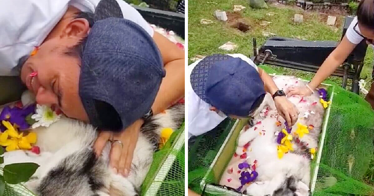 Touching Farewell: Dog Owner Bids Adieu to Beloved Companion, Lovingly Calling Him ‘His Son’ as a Testament to Their Deep Bond