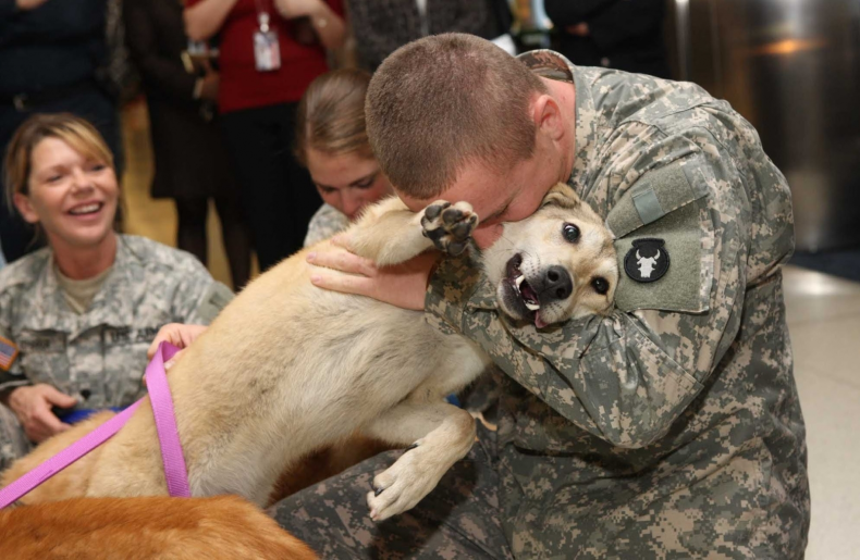 In the chaos of war, a soldier tenderly cares for his wounded dog companion, their unwavering loyalty and mutual devotion a testament to the resilience of the human-animal bond