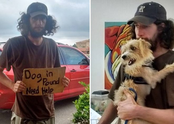 Outside Walmart, a homeless man stands, desperately seeking help for his dog, when a compassionate woman comes to their rescue