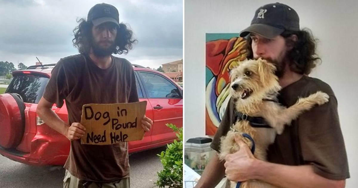 Outside Walmart, a homeless man stands, desperately seeking help for his dog, when a compassionate woman comes to their rescue