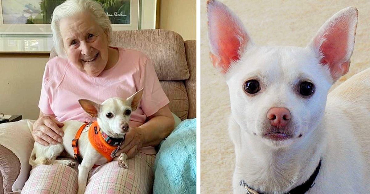 A 100-year-old woman discovered that an 11-year-old dog was the perfect companion for her.