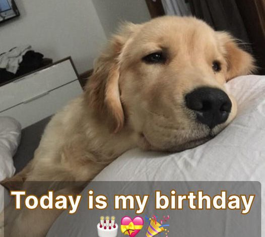 Today is my birthday, but no one has wished me a happy birthday yet.