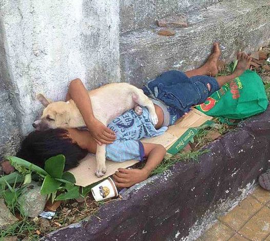 Heartwarming Stories: Abandoned Boy Discovers Unconditional Love in the Arms of a Faithful Dog