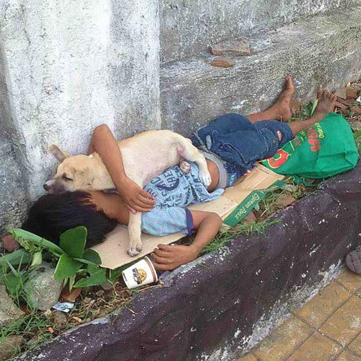 Heartwarming Stories: Abandoned Boy Discovers Unconditional Love in the Arms of a Faithful Dog