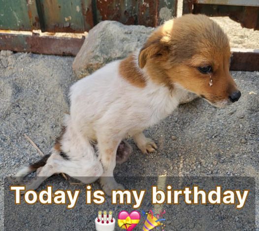 Today is my birthday, but I haven’t received any birthday wishes yet . This makes me feel really sad