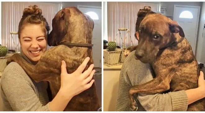 Every day, Mom receives heartfelt hugs from her grateful rescue dog