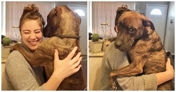 Every day, Mom receives heartfelt hugs from her grateful rescue dog