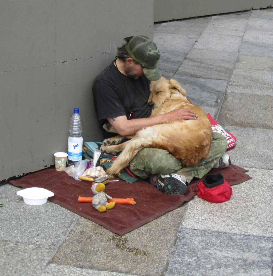 The unwavering loyalty of a devoted dog, who remains faithfully by his homeless owner’s side through every hardship, has touched millions worldwide. This poignant story vividly demonstrates the indestructible bond between humans and their canine companions.