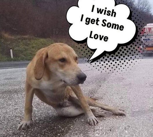 He lay utterly still in the pouring rain beside the highway, desperately hoping and waiting for someone to come and help him