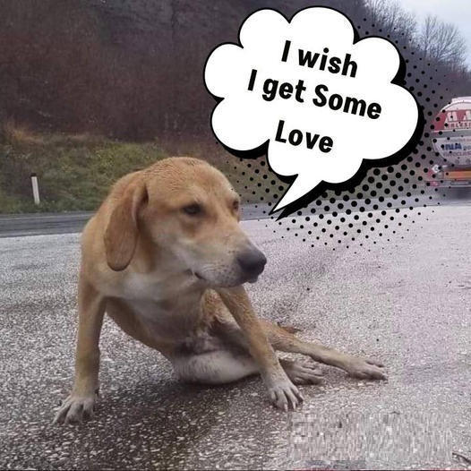 He lay utterly still in the pouring rain beside the highway, desperately hoping and waiting for someone to come and help him