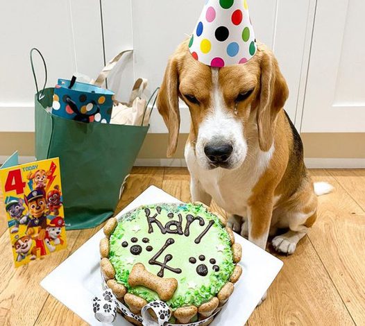 Karl the Dog Marks Six Years of Happy Barking