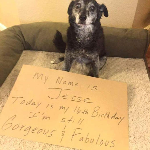 Jesse’s 16th Birthday: An Exploration of Self-Discovery and Embracing Who You Are