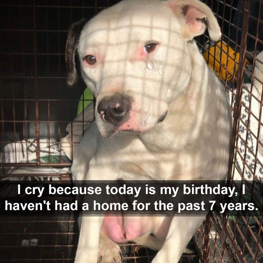 I cry because today is my birthday, and for the past seven years, I haven’t had a place to call home