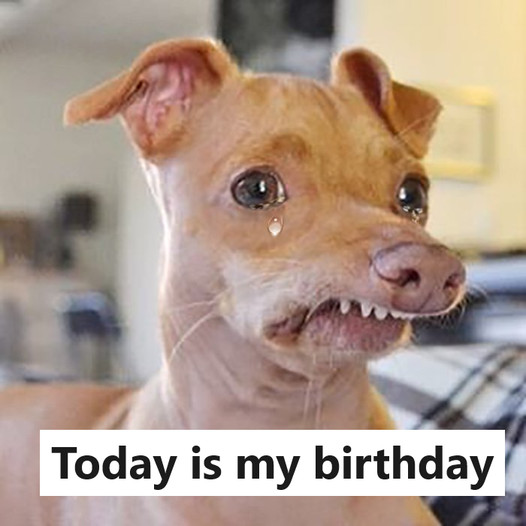 Today is my birthday, but since I’m aware that I’m not very attractive, I didn’t receive any birthday wishes