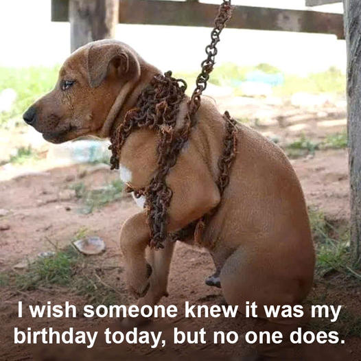 I really wish that someone knew it was my birthday today, but unfortunately, no one seems to be aware