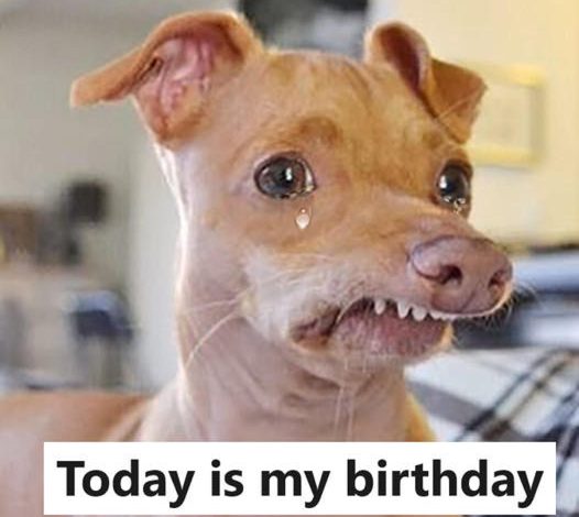 Today is my birthday, but since I know I’m not attractive, I didn’t get any birthday wishes