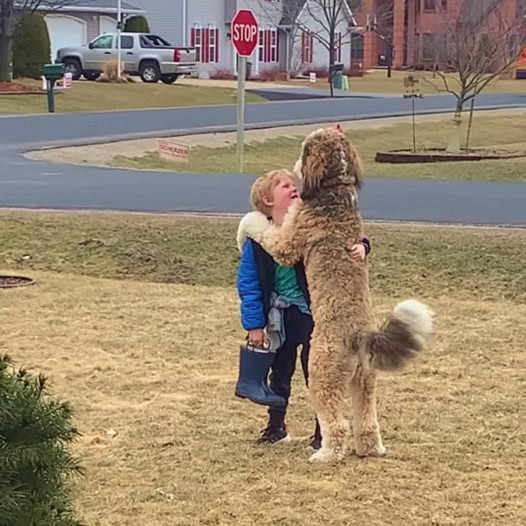 Heartfelt Reunion: After-School Hug Between a Dog and Its Young Companion