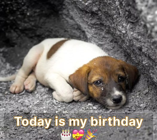 It’s my birthday today, and I’m glad to have a kind person share the celebration