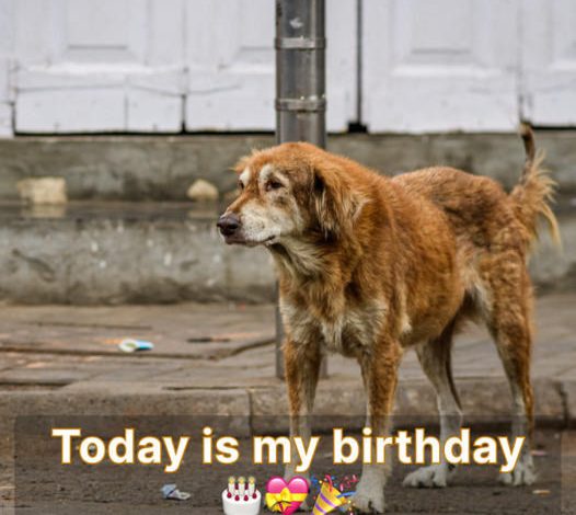 Today is my birthday, but I haven’t received any birthday wishes yet, and it’s making me feel really sad