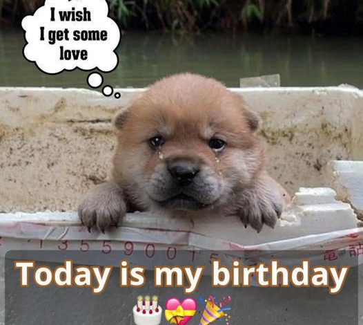 Today is my birthday, yet the lack of any kind wishes thus far brings a tinge of sadness