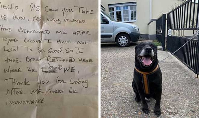 A dog that was abandoned because he was struggling to learn good behavior is now set to be rehomed