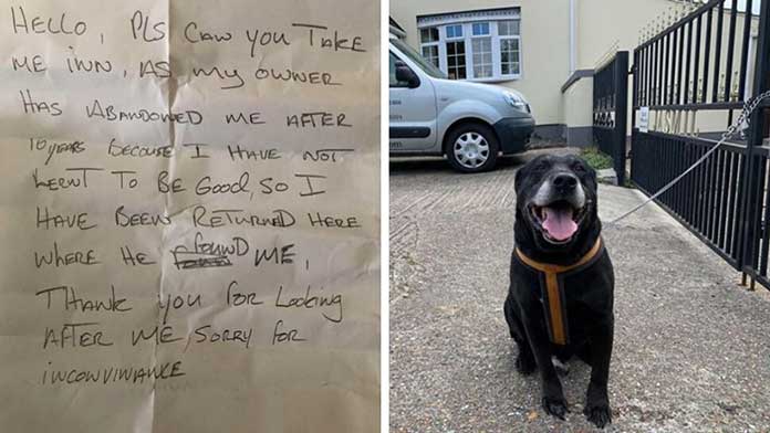 A dog that was abandoned because he was struggling to learn good behavior is now set to be rehomed