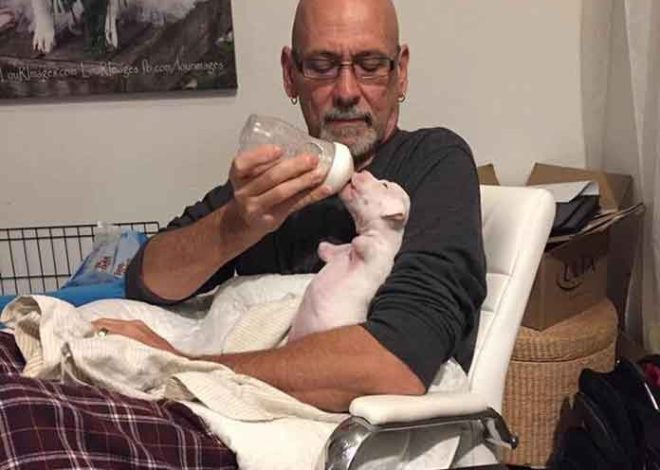 A Foster Dad’s Relentless Determination Provides An Incredible Second Chance For A Puppy Born Without Front Legs