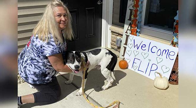 Flip has finally found a forever home after spending an incredible 2,555 days in a shelter — Congratulations to Flip!