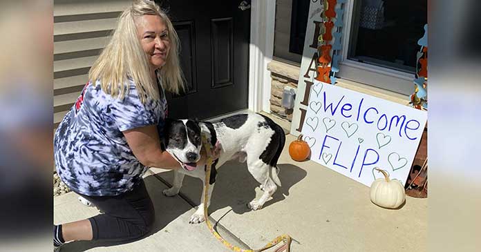 Flip has finally found a forever home after spending an incredible 2,555 days in a shelter — Congratulations to Flip!