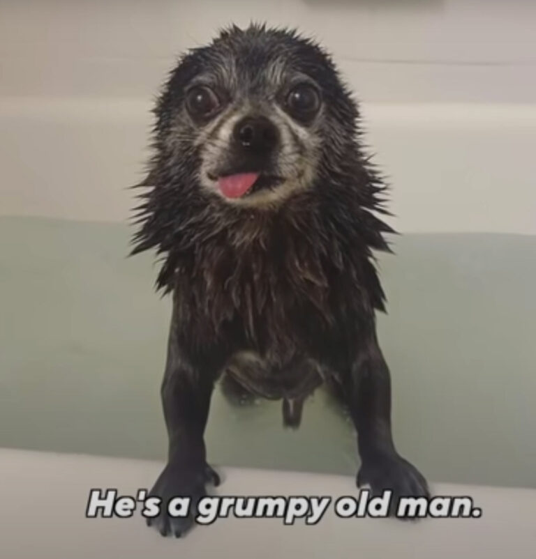 No one wanted this ‘grumpy old man,’ but then someone came along and treated him like a king