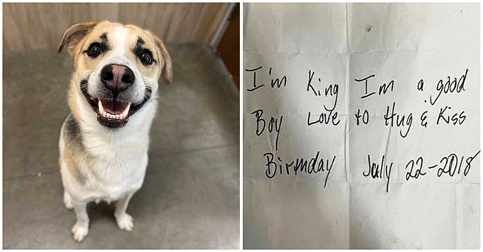 A dog named King was discovered abandoned at a Burger King restaurant. A heartbreaking note was fastened to his collar that read: “I’m a good boy.”