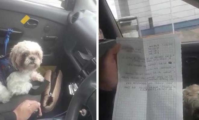 Taxi Driver Discovers a Dog with a Note Inside a Bag Left Behind by a Passenger