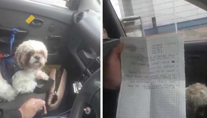 Taxi Driver Discovers a Dog with a Note Inside a Bag Left Behind by a Passenger