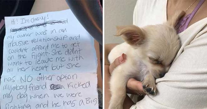 A Heartbroken Dog Abandoned at Airport, Accompanied by a Sorrowful Note from Its Former Owner