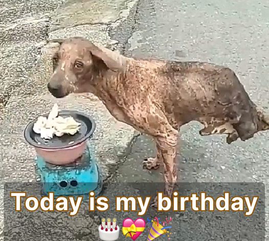 It’s my birthday today, yet I haven’t received any wishes so far