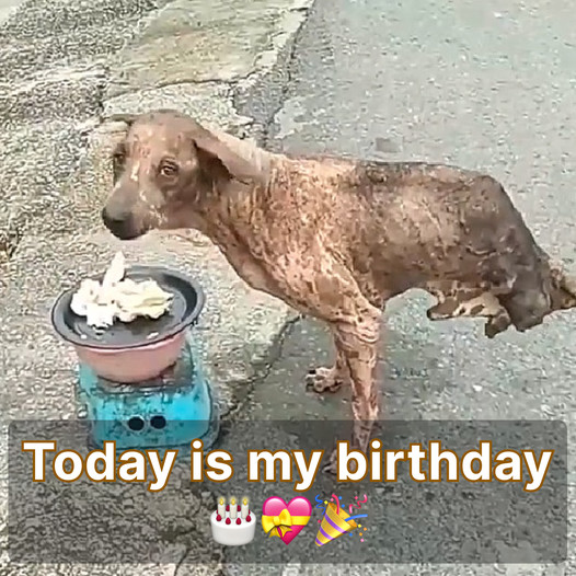 It’s my birthday today, yet I haven’t received any wishes so far