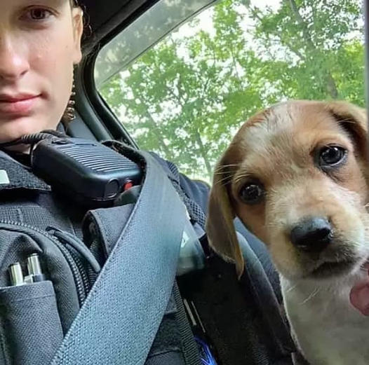 A police officer rescues an injured, abandoned puppy and decides to adopt it