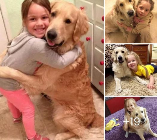 The dog’s emotional hug with his young owner after 300 days of separation captivated the world, making millions wonder about the remarkable story behind this touching reunion