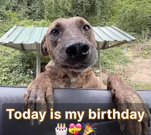 Today is my birthday, and I’m glad to have a thoughtful person celebrate it with me