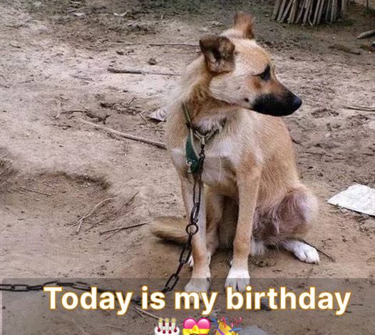 It’s my birthday today. I hope you’ll send me warm wishes