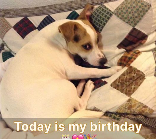 It’s his birthday today, make sure to send him wishes